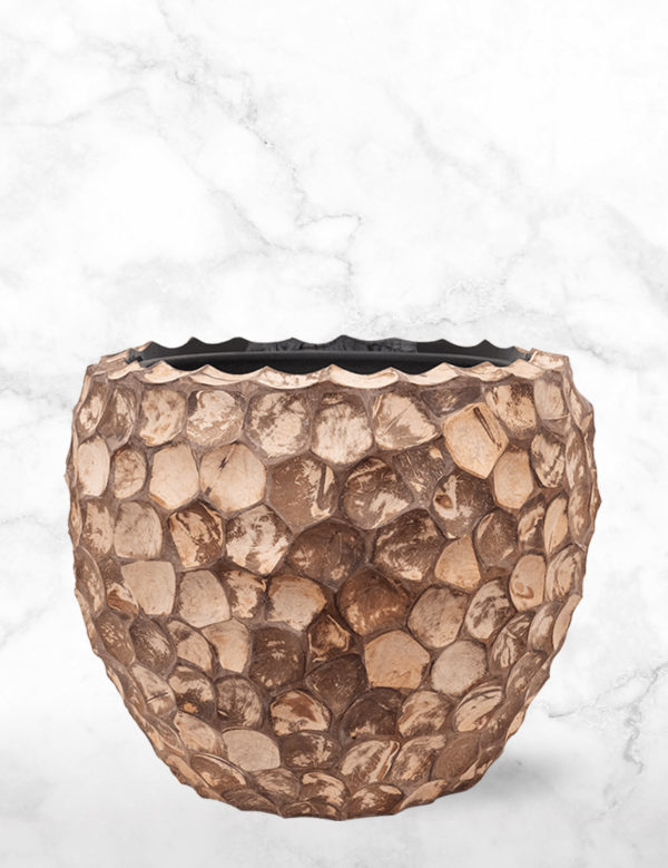 CHIC (S) Facets Into Coco Couple XL